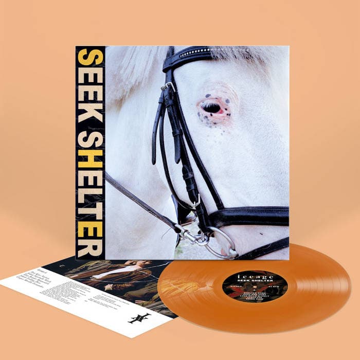 Seek Shelter – Orange Vinyl