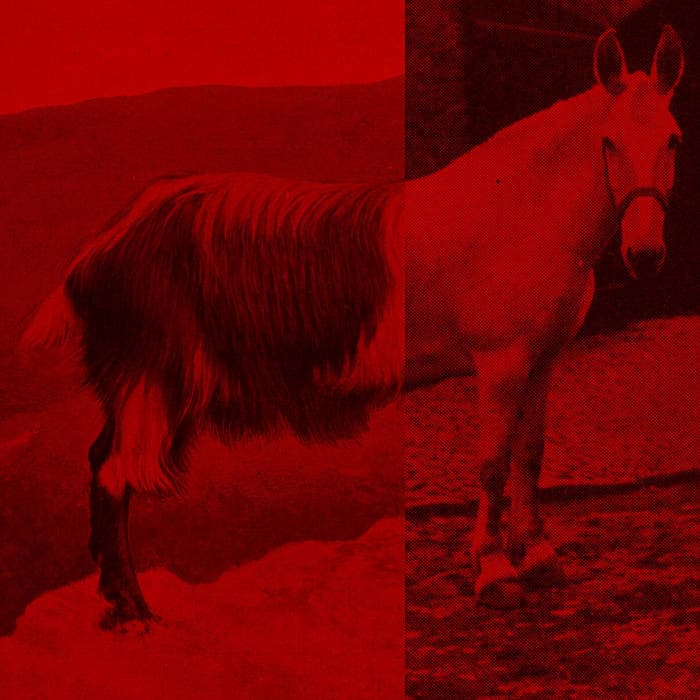 GOATHORSE – CD