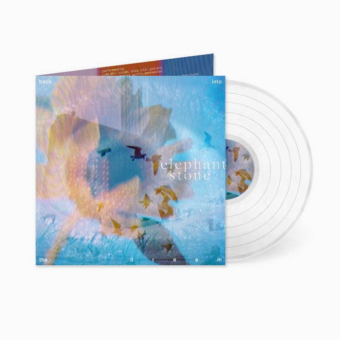 Back Into The Dream – Clear LP