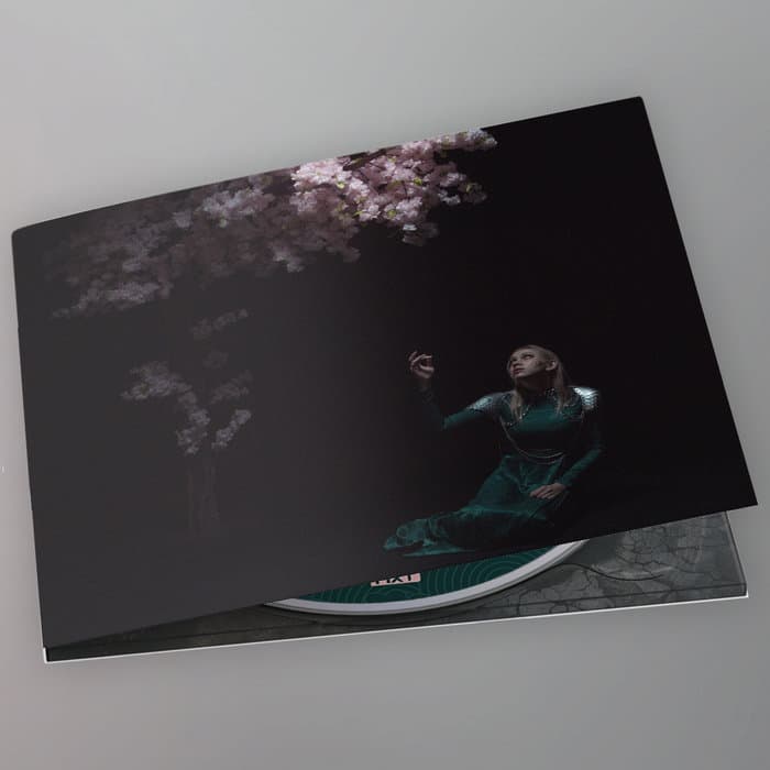 As the Light Left – CD