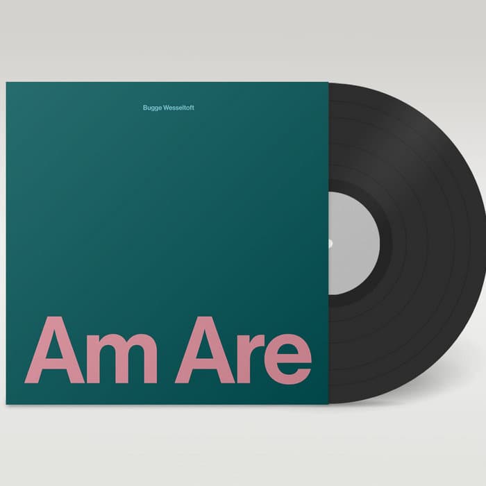 Am Are – Am Are - Vinyl Edition