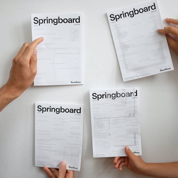 Springboard Bundle - Issue n.1, 2, 3 and 4
