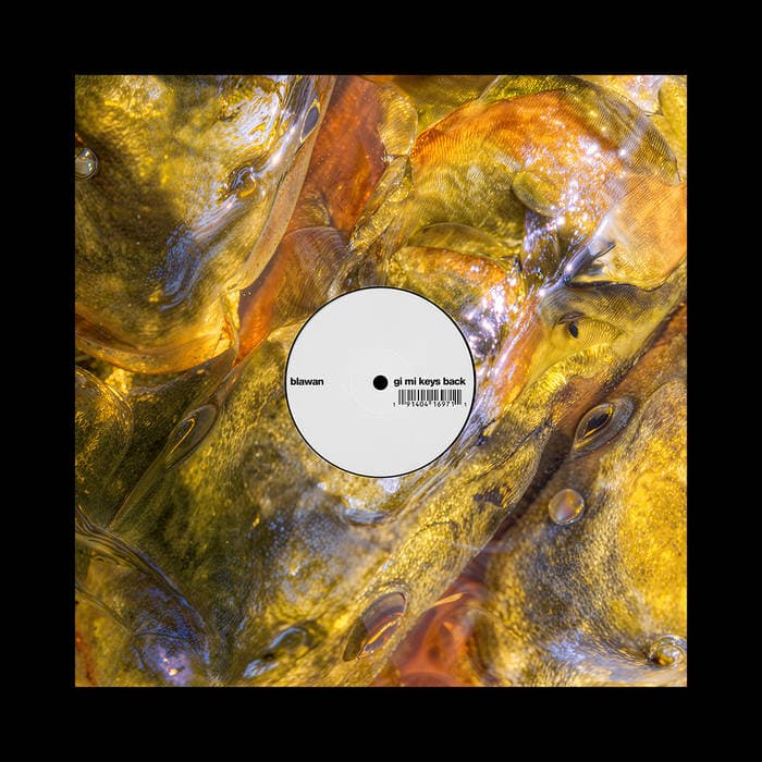 Gi Mi Keys Back / Auto Fake – 12" Single